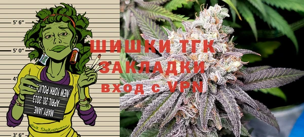 молекула духа Алексеевка