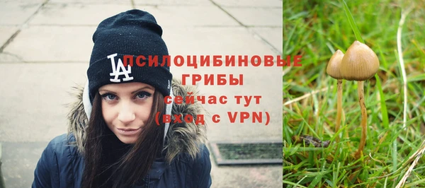 дмт Алексин